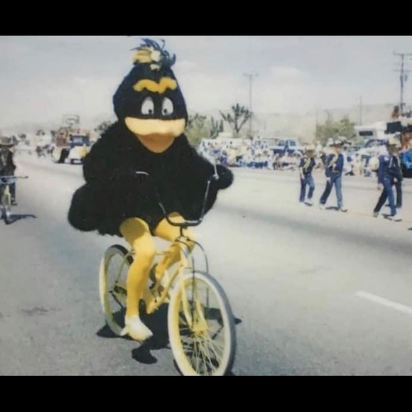 Meet your Posher, Jess - Picture 1 of 1